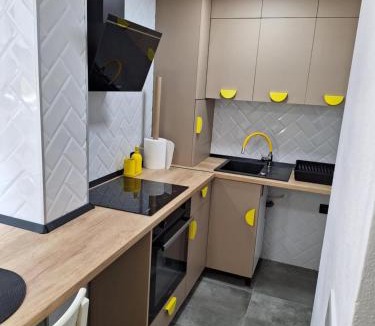 Ocna Mures Apartment | Ssalamandra home's