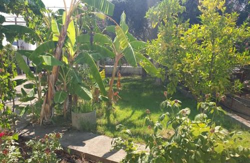 Aipeia House | St Andrews Seafront Appartement