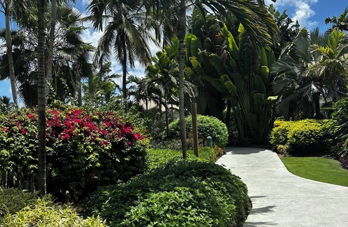 Estate Annas Retreat Apartment | St. Thomas Cozy Studio Margaritaville Resort, Wifi, Restaurant Onsite,