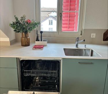 Horgen District Apartment | Stadtloft Suites Richterswil