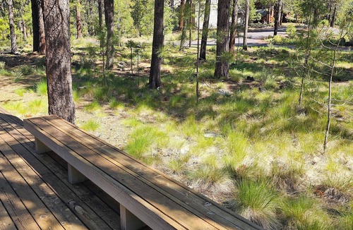 Overlook Park House | Stag Lane, Sunriver. Great Location! Single-level home, SHARC Passes, hot tub!