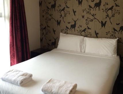 Hilltop Hotel | Stag Park Accommodation