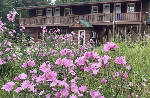 Stratton House | Standard queen bed room sleeps 2