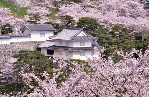 Nihommatsu Hotel | Standard room only plan twin room/Nihonmatsu Fukushima