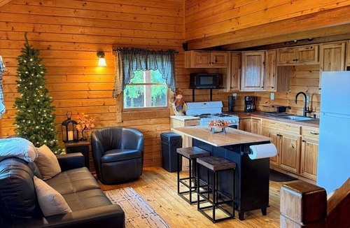 Delevan Cabin | Star Lodge — Cozy Secluded Cabin, 20 Minutes from Ellicottville