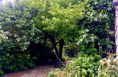 West Eugene House | Star Studio: A Private Garden Retreat in Downtown Eugene