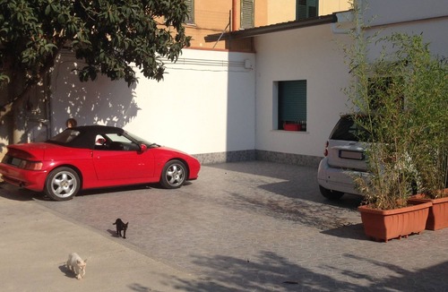Palermo House | Stardust Home. Relax & Comfort. Free wi-fi & swimming pool