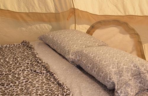 Sun Valley Other | Starlight Tent 3