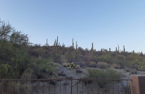 Starr Pass House | Starry Knight Starr Pass Marriott Resort 2B 2Ba furnished patio TH, wifi, garage