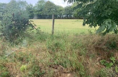 Cuddesdon House | Static Mobile home set in our 20 acres of farmland