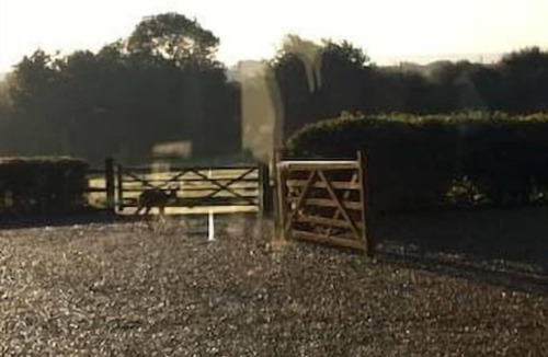 Cuddesdon House | Static Mobile home set in our 20 acres of farmland