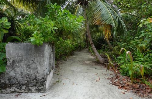 Thinadhoo House | Stay Kora