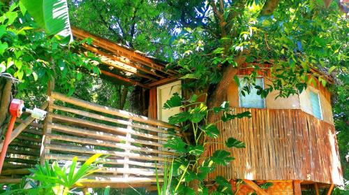 Tanawan Bed & Breakfast | Stay N Save B&B