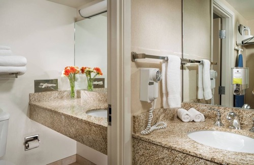 University District Hotel | Staypineapple's Comfort Stay, Two Queen Beds, Pet-Welcoming, By University