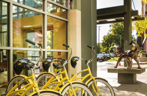 University District Hotel | Staypineapple, Watertown Hotel, University District Seattle