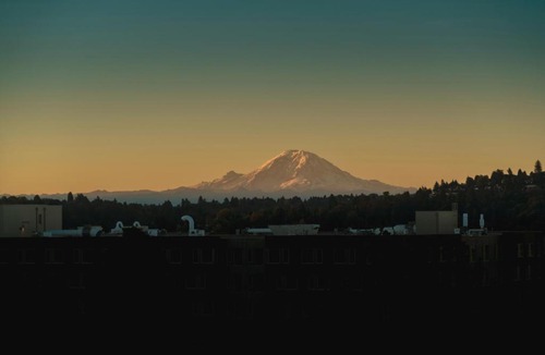 University District Hotel | Staypineapple, Watertown Hotel, University District Seattle