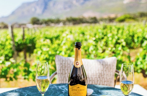 Steenberg Estate Hotel | Steenberg Hotel & Spa