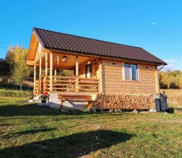 Feleacu Villa | Stefana's Tiny House Nature Retreat