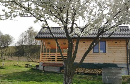 Feleacu Villa | Stefana's Tiny House Nature Retreat