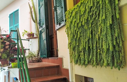 Terzorio Apartment | Stefano by Interhome