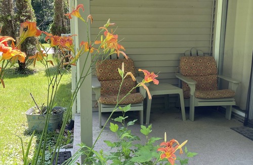 Westfield Cottage | Steffi's Stuga (little lake cottage): Relax and Re-energize near Lake Erie!