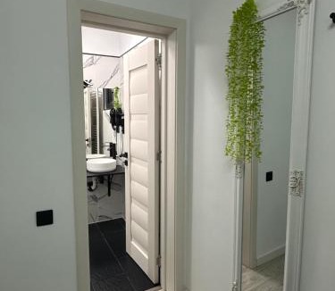 Jibert House | Stelele Oltului