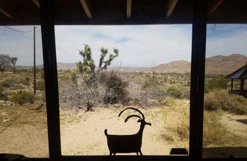 Joshua Tree Highlands Villa | Steph's Panorama Paradise-Nat'l Park minutes away