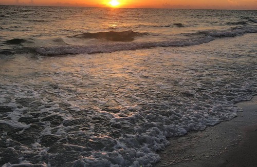Bradenton Beach Condo | Steps away from the white sandy beach!
