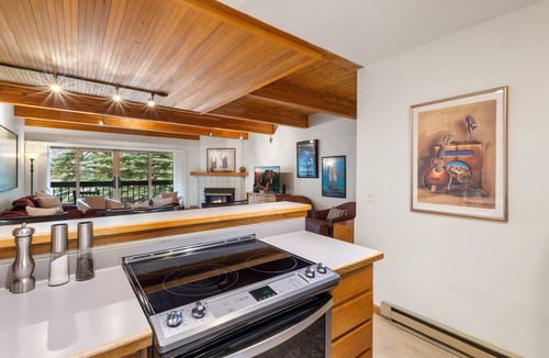 Telluride Condo | Steps to the River Trail and a Block from the Gondola!