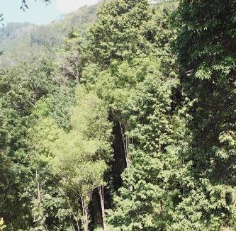 Sidemen Cabin | STHANATAPA HILL's