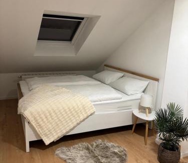 Helbersdorf Apartment | Stilvolle Ferienwohnung zum Wohlfühlen- zentral und ruhig