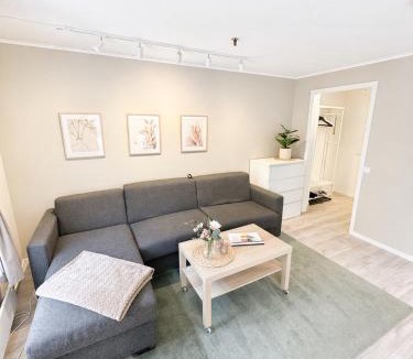 Trondheim City Centre Apartment | Stor attraktiv studioleilighet i sentrum