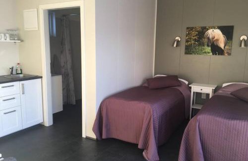 Sveitarfelagid Olfus Apartment | Strýta Apartment 3
