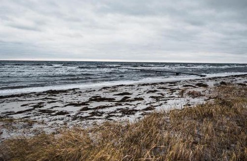 Greve Strand Hotel | Strandmotellet