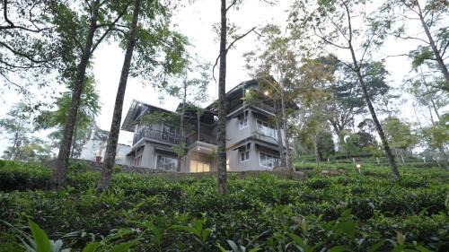 Kuttikkanam Villa | STREAMVIEWS@pan
