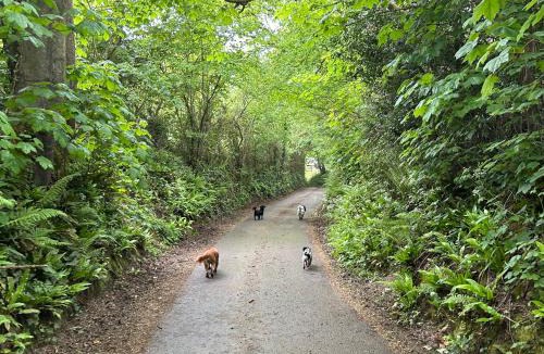 Bridport Ski Chalet | Strongate Orchard Farm stay Bridport Dorset- Jurassic Coast 10 min drive