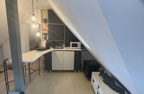 Bad Neustadt an der Saale Apartment | Studio 'Loft Steingasse' with Wi-Fi