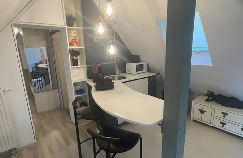 Bad Neustadt an der Saale Apartment | Studio 'Loft Steingasse' with Wi-Fi