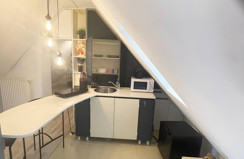 Bad Neustadt an der Saale Apartment | Studio 'Loft Steingasse' with Wi-Fi