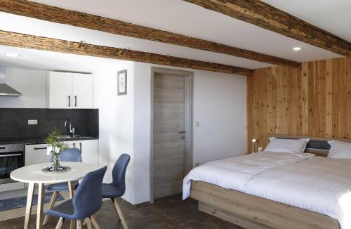 Dravograd Apartment | Studio 1111 with Sauna & Hot Tub