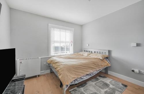 Stoke Newington Hostel | Studio 169