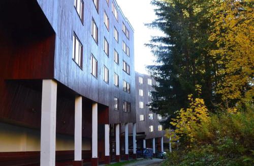 Arc-1800 Apartment | Studio 2 pers, proche pistes & commerces - Animaux admis - FR-1-411-189