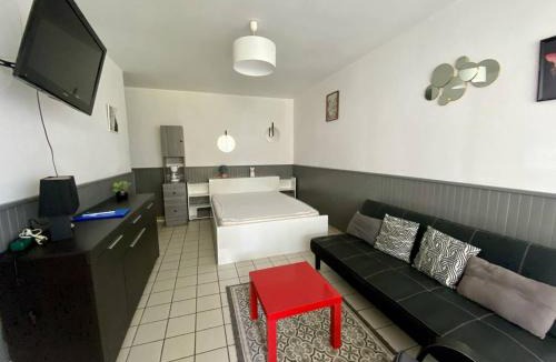 Cambo-les-Bains Apartment | Studio 2 personnes, terrasse fermée, animaux tolérés, proche parking – Cambo-les-Bains - FR-1-495-63
