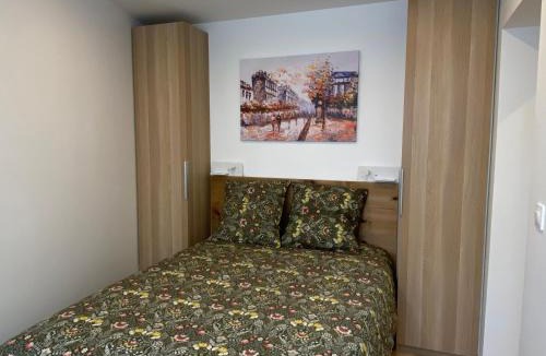 Mont d'Arene Apartment | Studio 24m2 climatisé-parking privé - Lycée Roosevelt - Arena - Gare