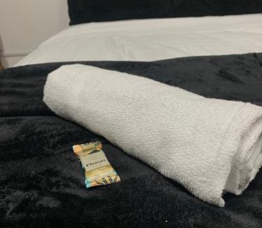 Sao Jose Apartment | Studio 308 - Apartamento Passo Fundo