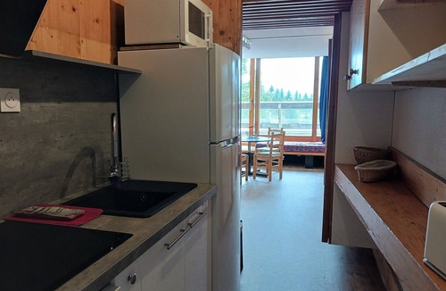 Arc-1600 Apartment | Studio 30m² south, wifi, pets ok, Arc 1600