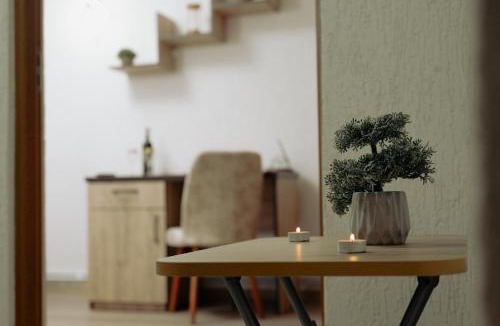 Petrosani Apartment | Studio 63