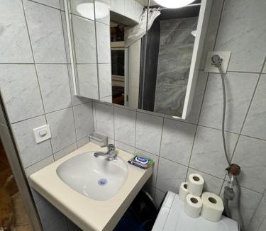 Niederried bei Interlaken Apartment | Studio am Brienzersee mit Kamin, Küche & Gratis Parking