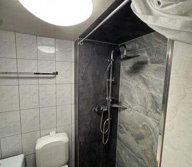 Niederried bei Interlaken Apartment | Studio am Brienzersee mit Kamin, Küche & Gratis Parking