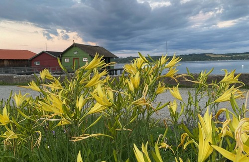 Schondorf am Ammersee Apartment | Studio apartment in a dreamy and quiet garden in the immediate vicinity of the lake